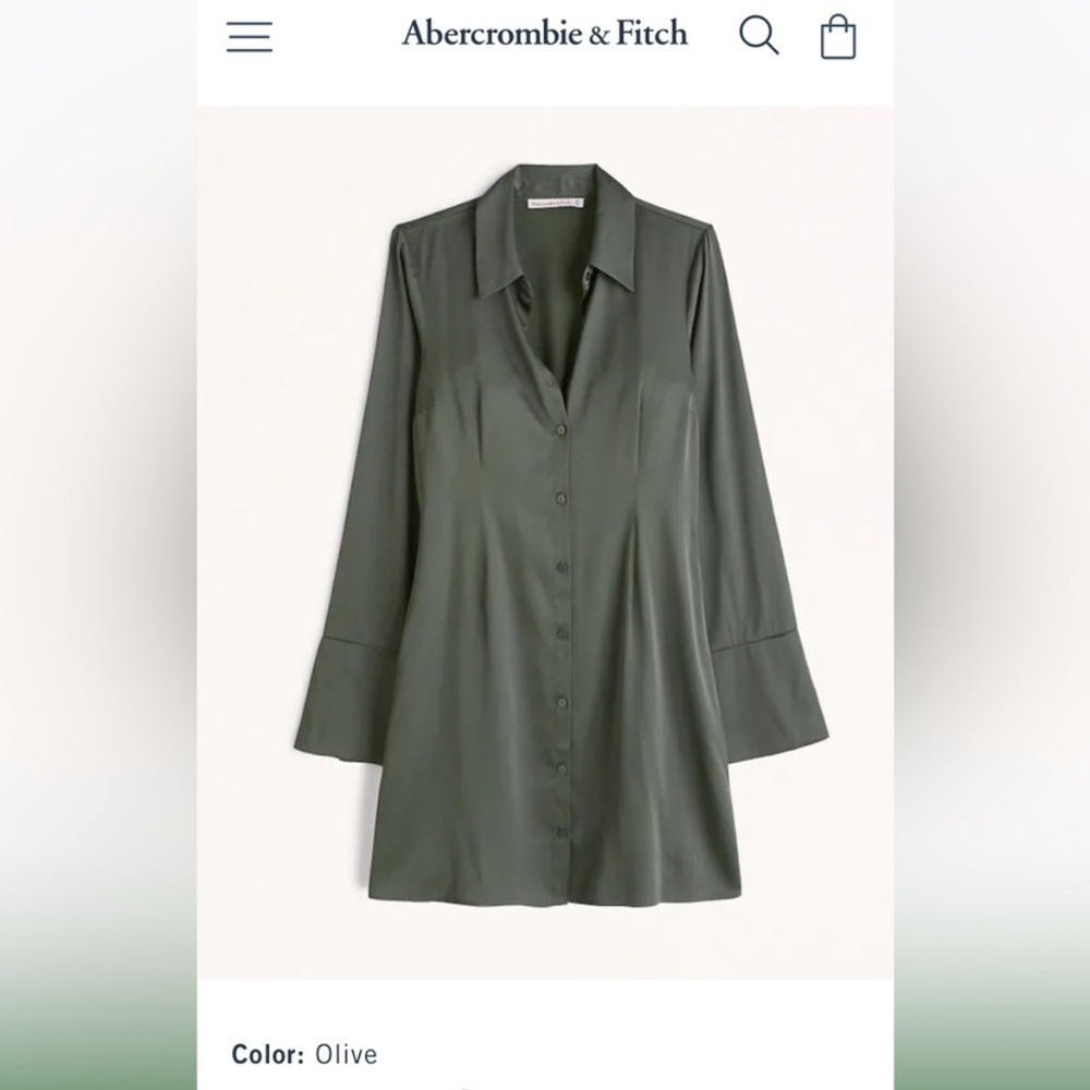 🆕 NWT Abercrombie & Fitch Satin Long Sleeve Shirt Dress